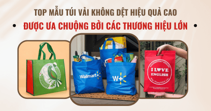 Top Mẫu Túi Vải Không Dệt Hiệu Quả Cao Được Ưa Chuộng Bởi Các Thương Hiệu Lớn