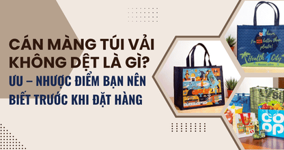 Cán Màng Túi Vải Không Dệt Là Gì? Ưu – Nhược Điểm Bạn Nên Biết Trước Khi Đặt Hàng
