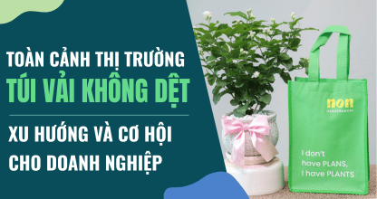 Toàn Cảnh Thị Trường Túi Vải Không Dệt Hiện Nay: Xu Hướng Và Cơ Hội Cho Doanh Nghiệp