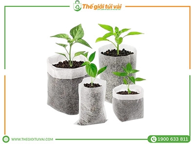 Túi vải trồng cây