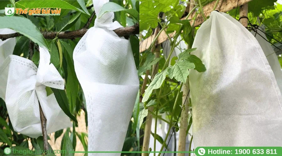 Túi bọc bơ dạng kín bảo vệ toàn diện trái khỏi các yếu tố bên ngoài