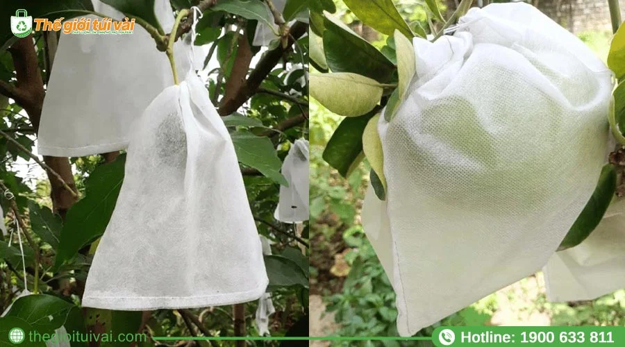 Túi bọc bơ thiết kế dây rút tiện lợi