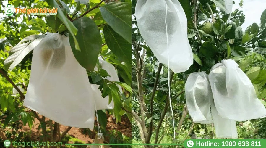 Màu trắng túi bọc bơ tại Thế Giới Túi Vải 