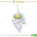 Túi bọc bưởi gallery