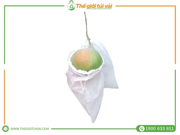 Túi bọc bưởi gallery