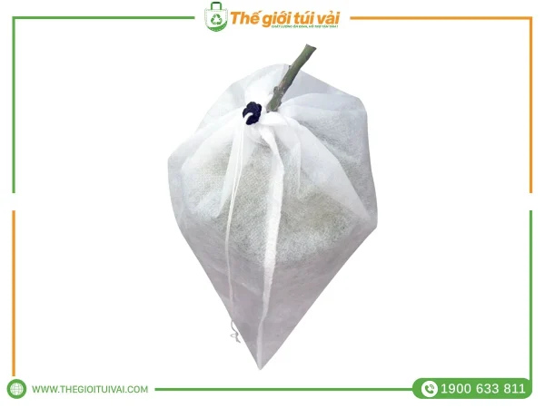 Túi bọc bưởi gallery