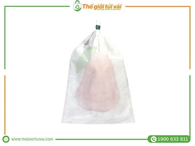 Túi bọc mận featured image