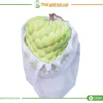 Túi bọc mãng cầu gallery