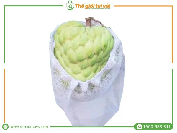 Túi bọc mãng cầu gallery