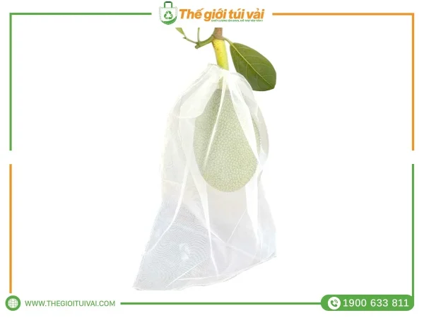 Túi bọc mít gallery