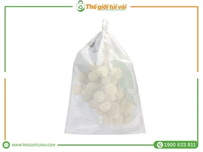 Túi bọc nhãn featured image