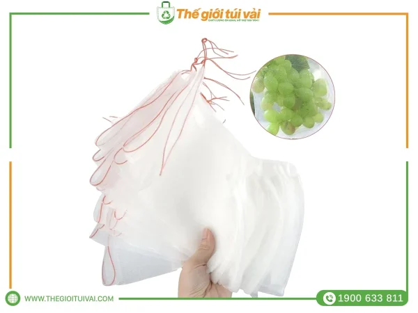Túi bọc nho gallery