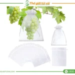 Túi bọc nho gallery