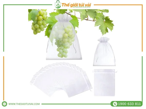Túi bọc nho gallery