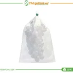 Túi bọc nho featured image