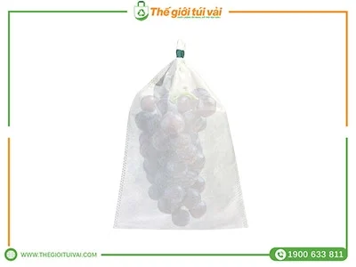 Túi bọc nho featured image