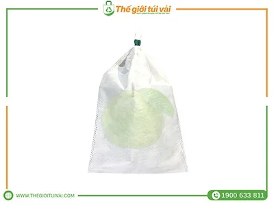 Túi bọc ổi featured image