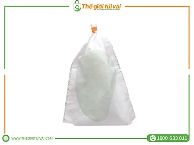 Túi bọc xoài featured image