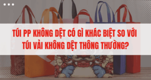 Túi PP Không Dệt Có Gì Khác Biệt So Với Túi Vải Không Dệt Thông Thường? thumbnail