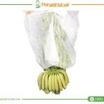 Túi vải bọc chuối gallery