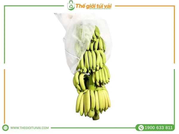 Túi vải bọc chuối gallery