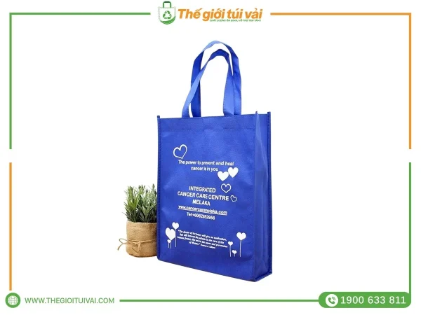 Túi vải đi học gallery