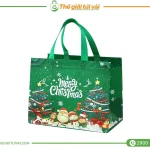 Túi vải đựng quà gallery