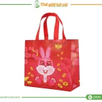 Túi vải đựng quà gallery