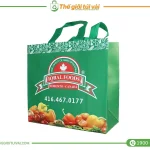 Túi vải không dệt cán màng gallery