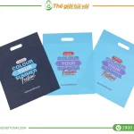 Túi vải không dệt đục lỗ xoài gallery