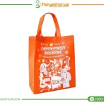 Túi vải không dệt hình hộp gallery
