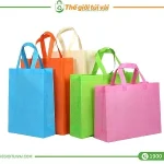 Túi vải không dệt hình hộp featured image