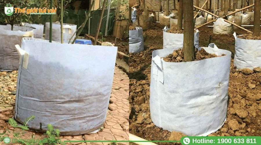 Chậu vải trồng cây dạng quai xách tiện lợi