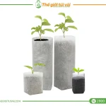 Túi vải trồng cây gallery