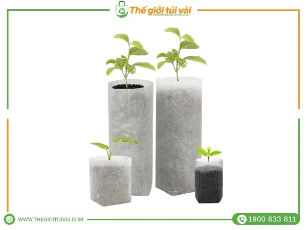 Túi vải trồng cây gallery