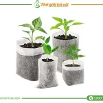 Túi vải trồng cây featured image