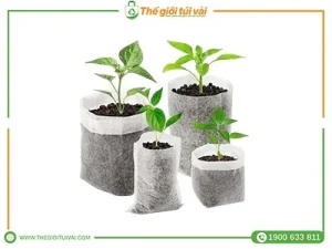 Túi vải trồng cây