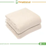 Vải canvas / bố gallery