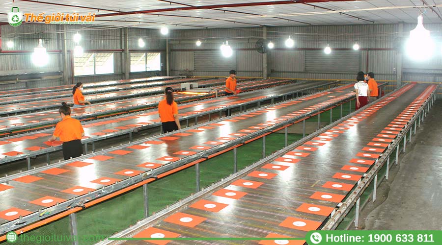 Quy trình sản xuất tuân thủ tiêu chuẩn chất lượng toàn cầu Quy trình sản xuất tuân thủ tiêu chuẩn chất lượng toàn cầu